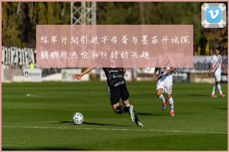 绿军计划引进字母哥与墨菲并试探鹈鹕对杰伦和怀特的兴趣