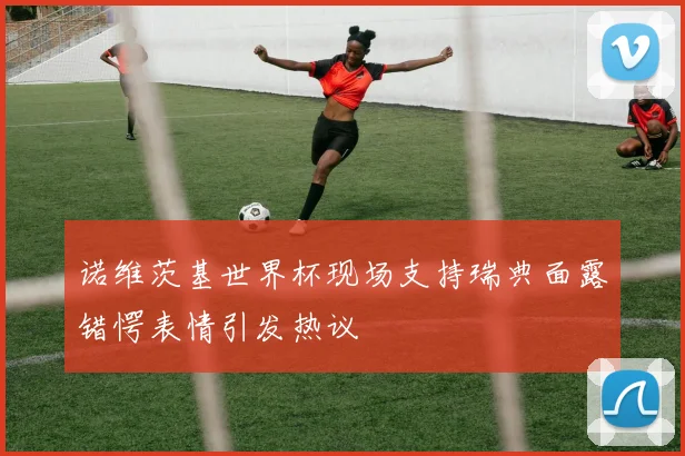 诺维茨基世界杯现场支持瑞典面露错愕表情引发热议