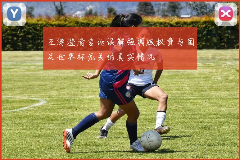 王涛澄清言论误解强调版权费与国足世界杯无关的真实情况